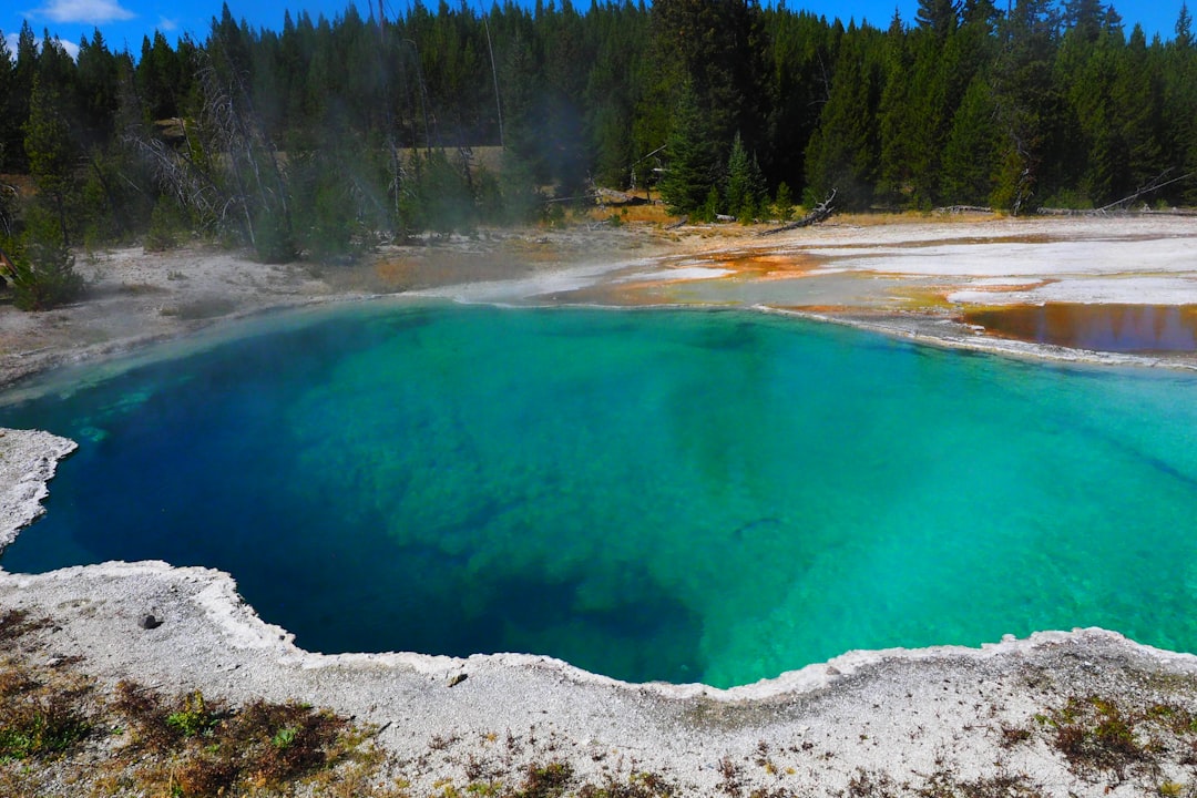 West Thumb Geyser Basin: The Underwater Chemistry Lab (Image Credits: Unsplash)