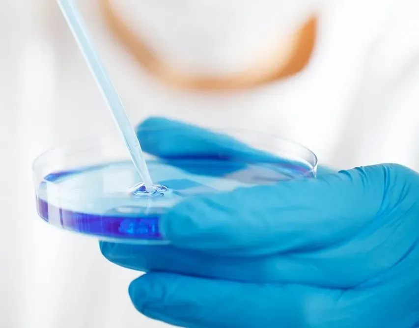 Personalized and Predictive Medicine: Treating Your Version of the Disease (Image Credits: Pixabay)