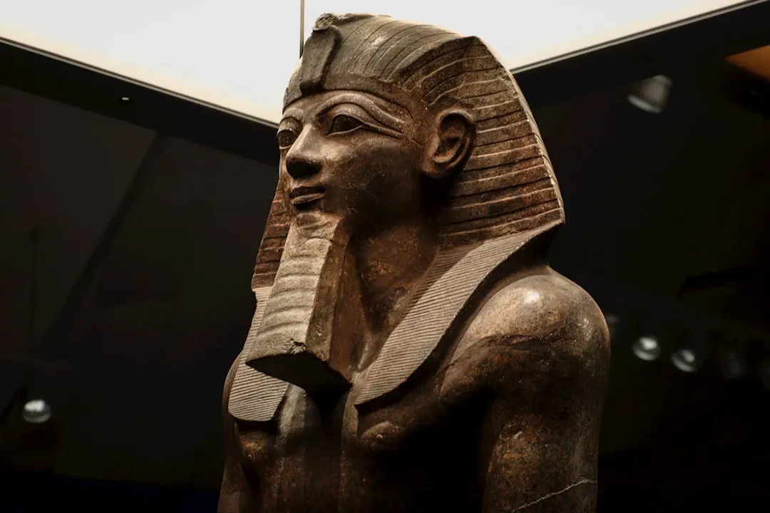 Conclusion: A Past That Refuses To Stay “Primitive” (Image Credits: Unsplash)