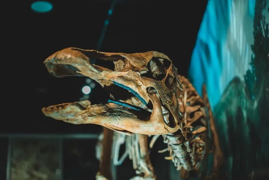 3. The Fossil Record Shows No Evidence Of Dragons (Image Credits: Pexels)
