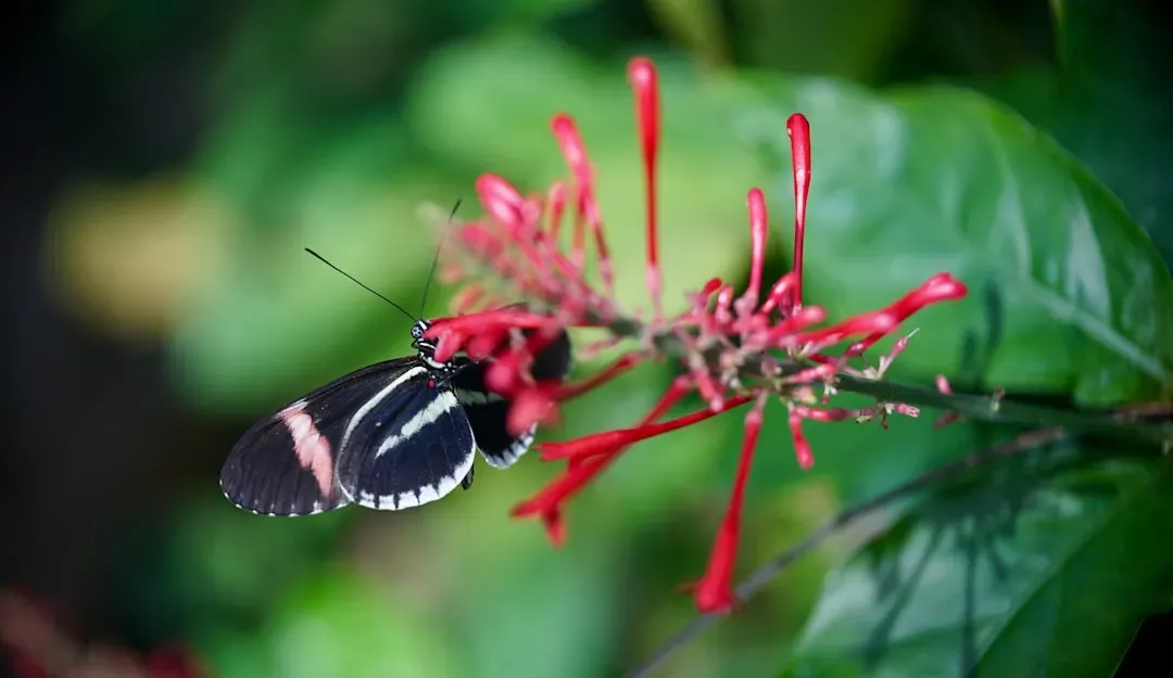 Manipulating Animals: Colors, Nectar, and Seed Bribes (Image Credits: Unsplash)