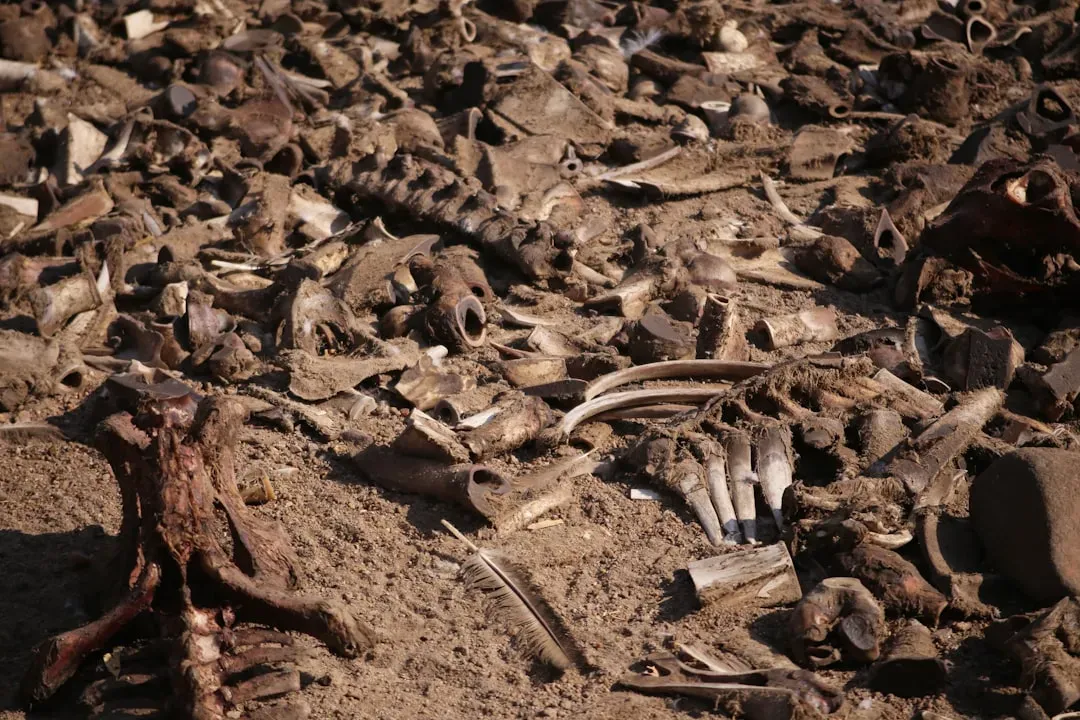 Mass Extinctions: When the Story Takes a Dark Turn (Image Credits: Unsplash)