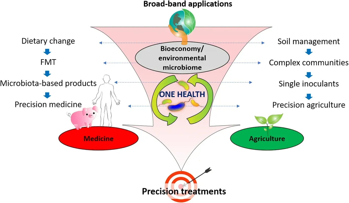 The Future Landscape: Precision Microbiome Medicine and Its Risks (Image Credits: Wikimedia)