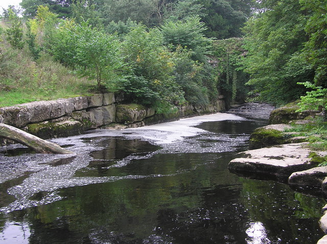 Conclusion (Image Credits: Wikimedia)