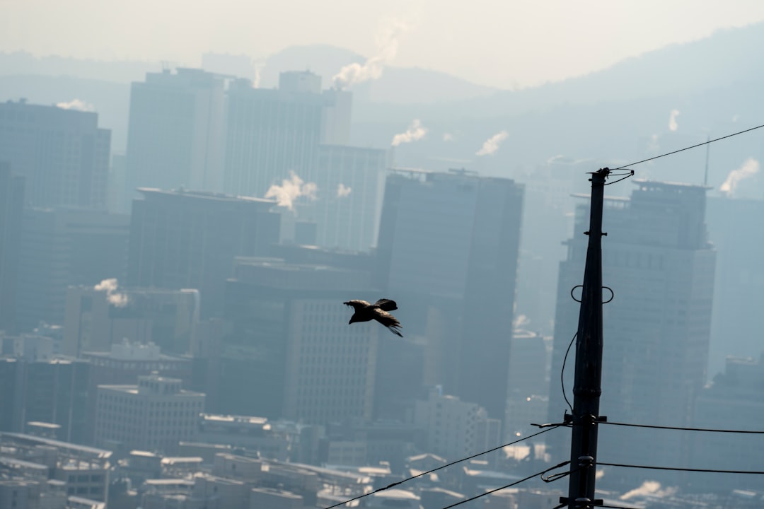 Los Angeles, California (Image Credits: Unsplash)