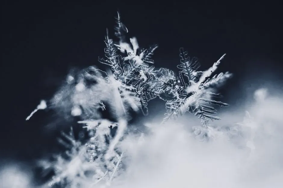 Conclusion: Why the Universe’s Coldest Places Matter More Than You Think (Image Credits: Pexels)