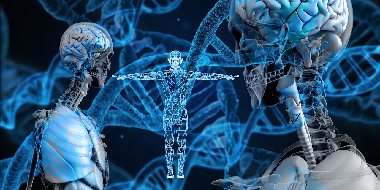 Genetics: The True Architect of Your Character (Image Credits: Pixabay)