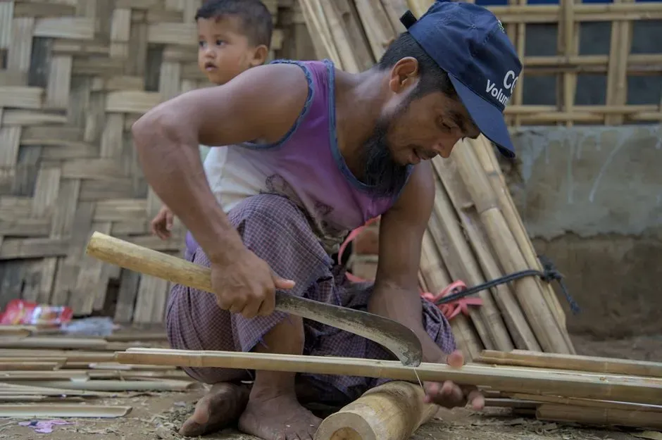 Tool Use Doesn't Make Humans Unique (Image Credits: Pexels)