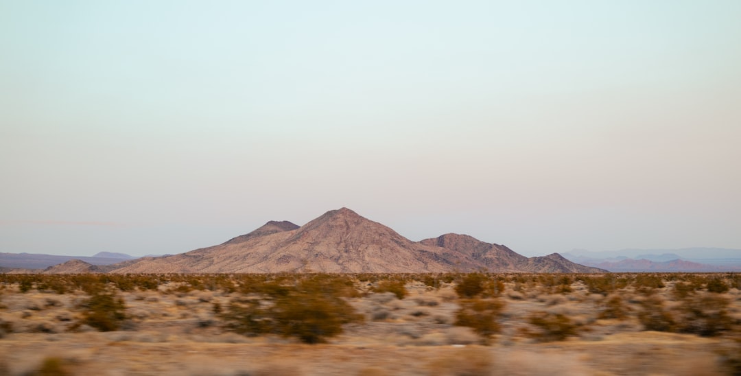 Future Research Directions and Scientific Implications (Image Credits: Unsplash)