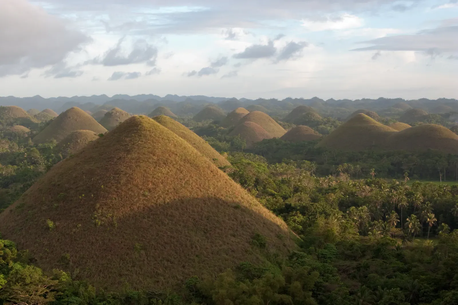 Chocolate Hills: Philippines' Sweet Geology (Image Credits: Wikimedia)