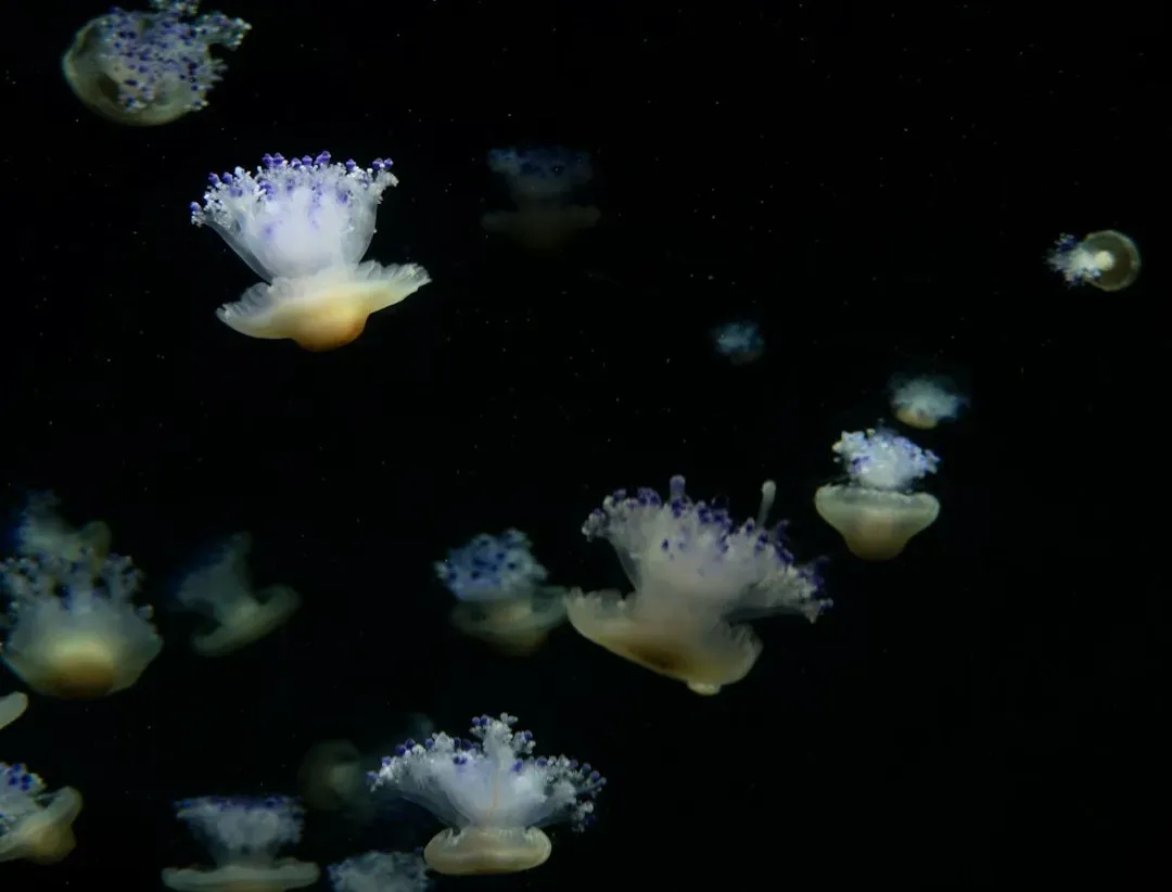 Life in Extreme Places: What Earth’s Weirdest Creatures Are Teaching Us (Image Credits: Unsplash)