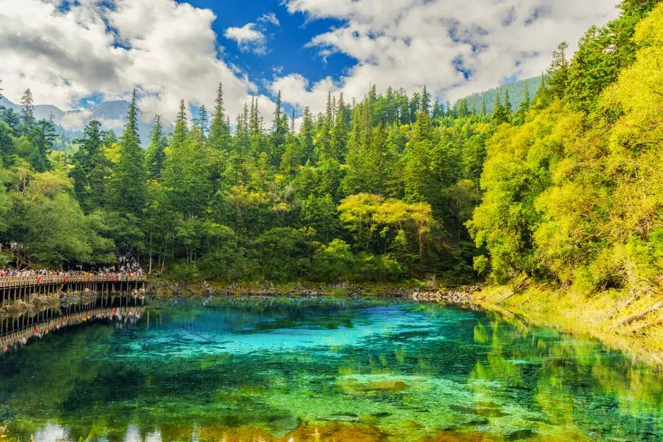 Five Flower Lake, China: Travertine, Algae and a Moving Palette (Image Credits: Pexels)