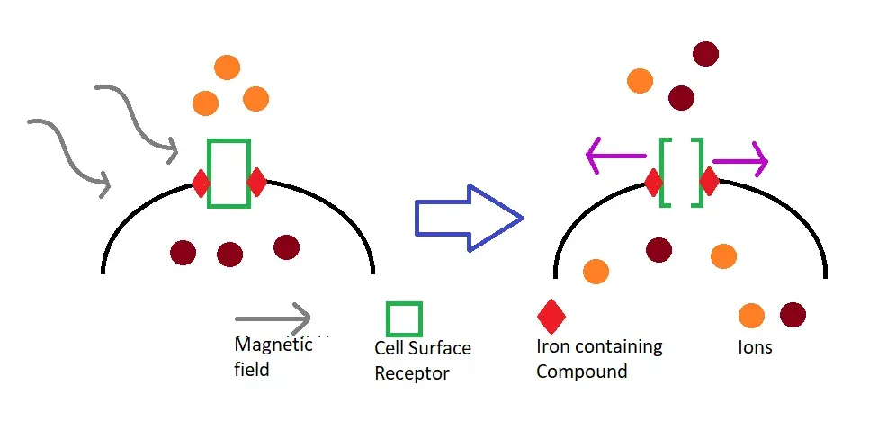 Dark Side Dynamics: How Emotional Absorption Enables Manipulation (Image Credits: Wikimedia)