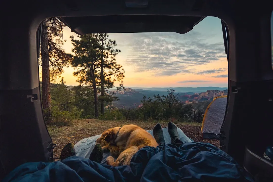 Conclusion: Relearning How to Sleep Like a Human Animal (Image Credits: Unsplash)