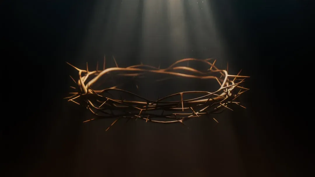 #16 – The "Crown of Thorns" Fragments Everywhere (Image Credits: Unsplash)