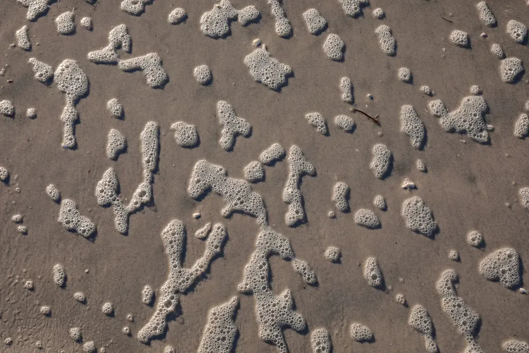 7. Sediment, DNA, and Tiny Clues That Rewrite Big Timelines (Image Credits: Unsplash)