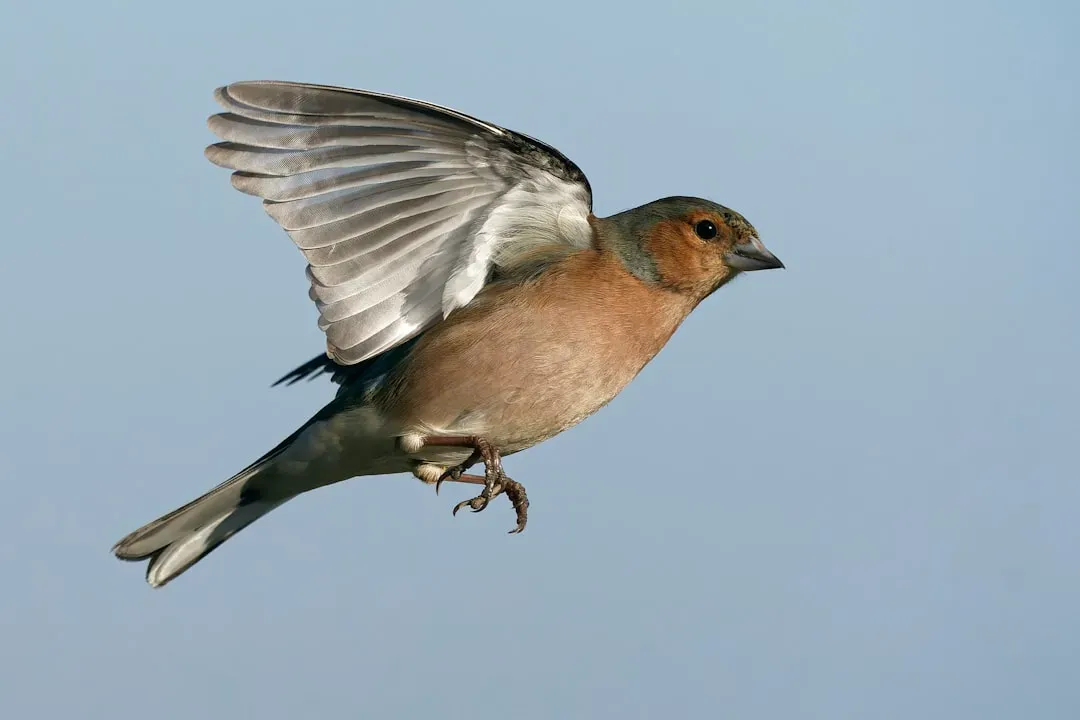 The Hidden Role of the Body: Internal Clocks and Fuel Management (Image Credits: Unsplash)