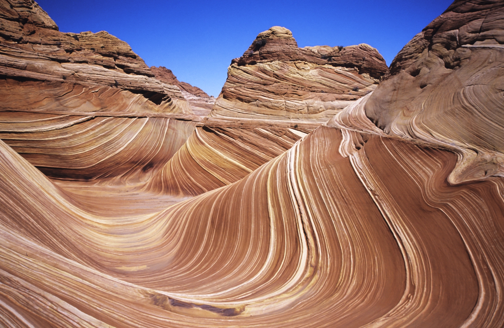 The Wave Arizona - Nature's Impossible Sculpture (Image Credits: Wikimedia)