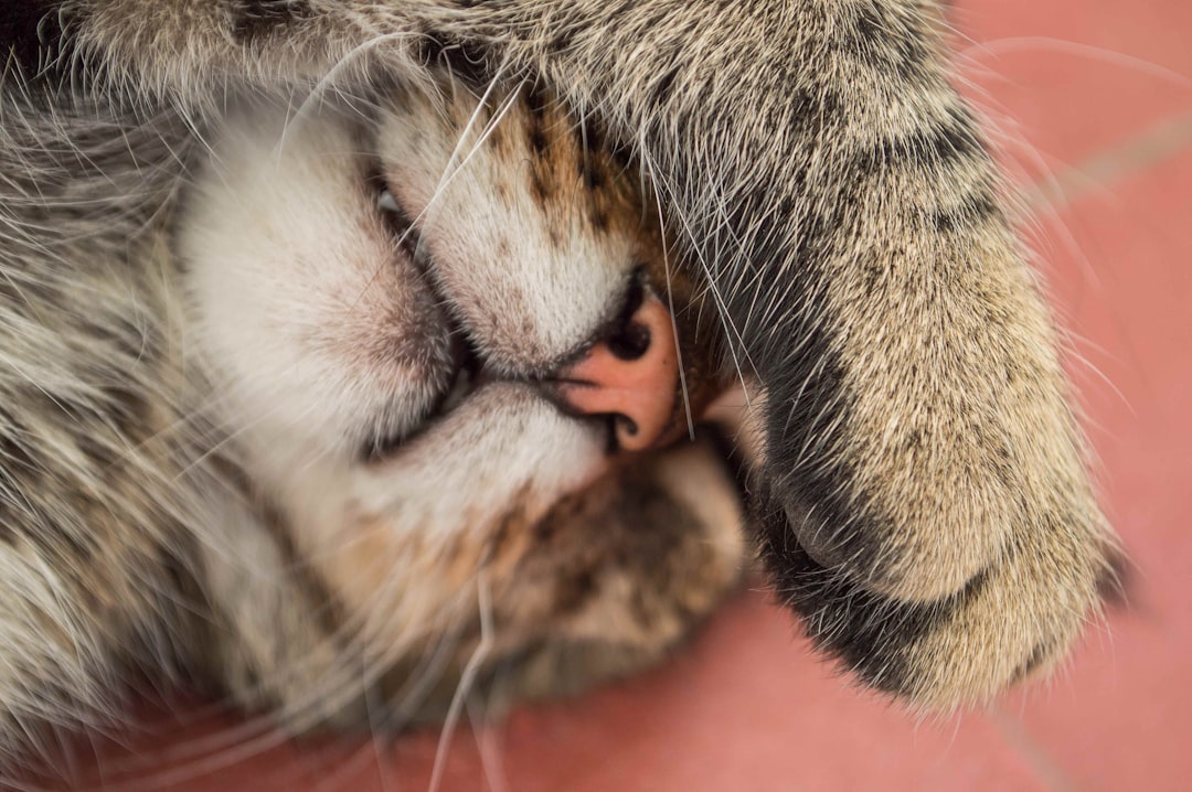 The Hidden Clues (Image Credits: Unsplash)