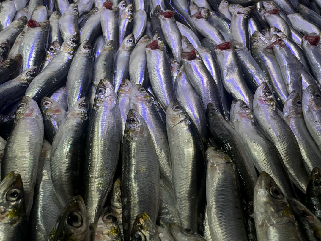 Proteins Under Pressure (Image Credits: Unsplash)