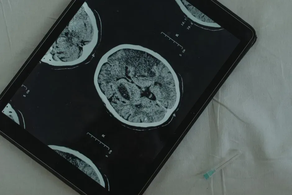 Implications for Resuscitation, Organ Donation, and End-of-Life Care (Image Credits: Pexels)