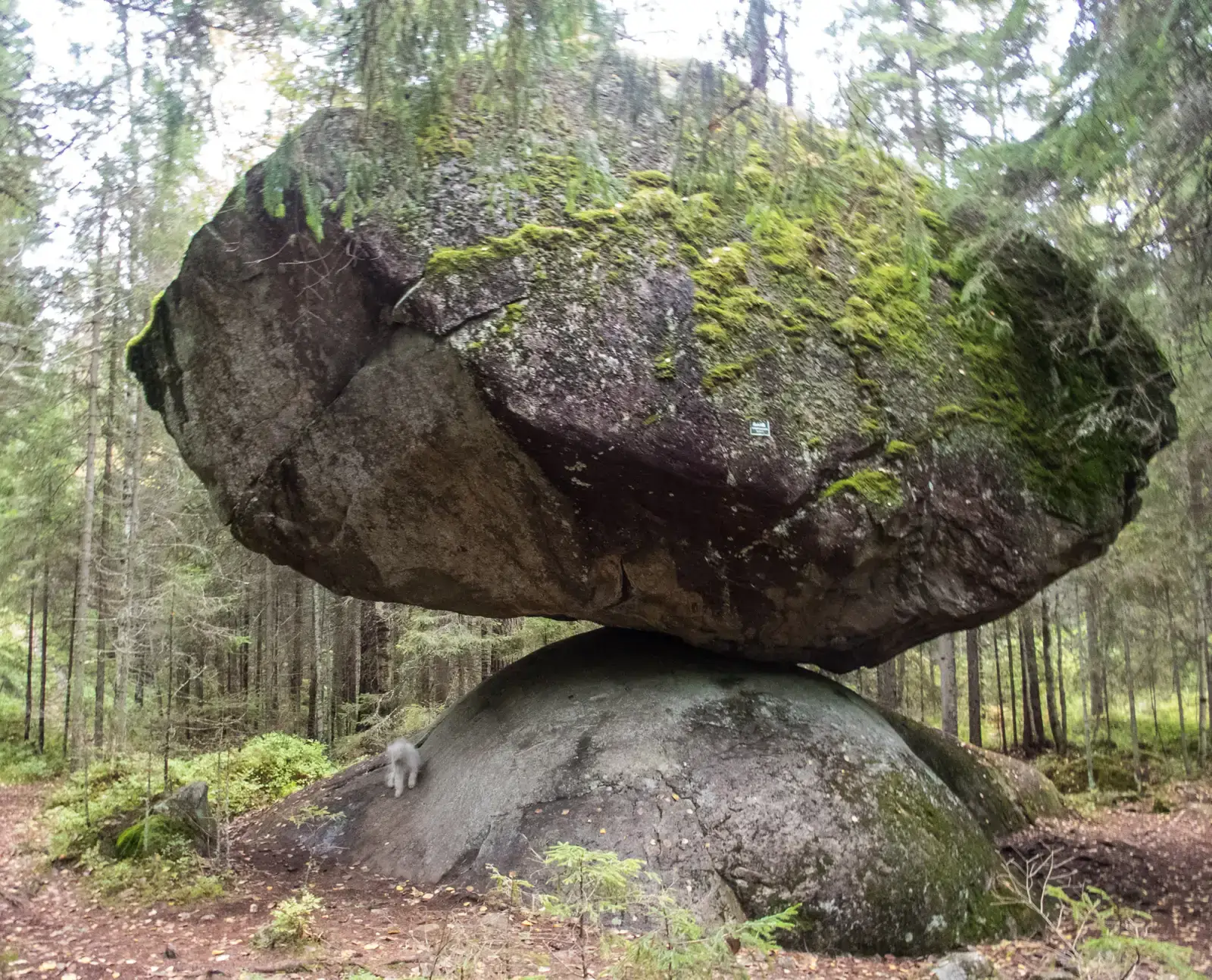 Kummakivi Balancing Rock, Finland (Image Credits: Wikimedia)