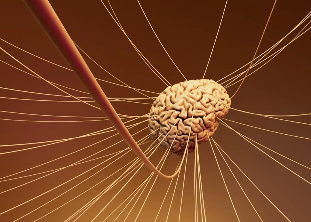 Information, Integration, And The Brain As A Conscious Network (Image Credits: Unsplash)