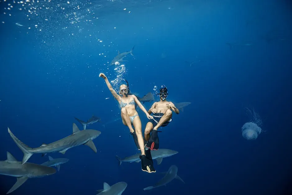 9. Shark Tourism Can Be More Valuable Than Shark Fishing (Image Credits: Pexels)
