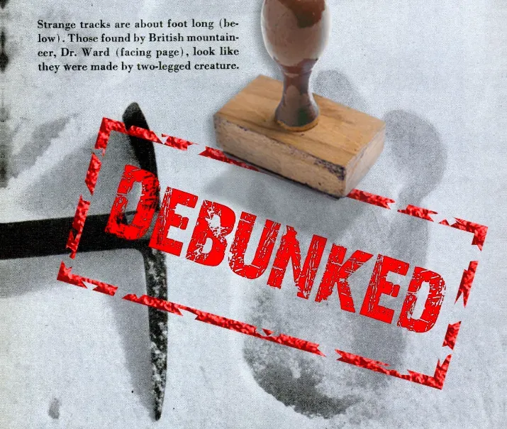 Conclusion (Image Credits: Wikimedia)