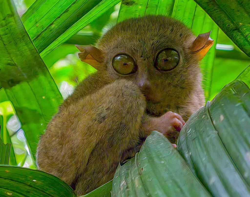 Conclusion: Why These “Unknowns” Matter More Than You Think (Image Credits: Flickr)