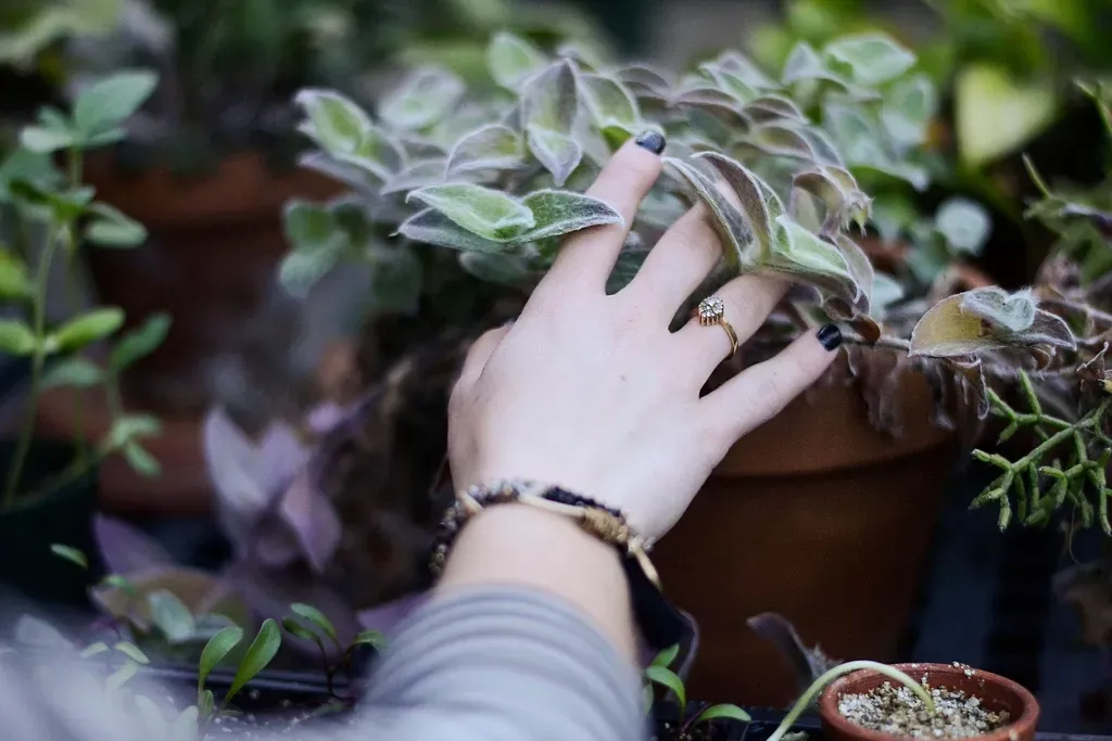 7. Touch And Vibration: Feeling The World Around Them (Image Credits: Rawpixel)