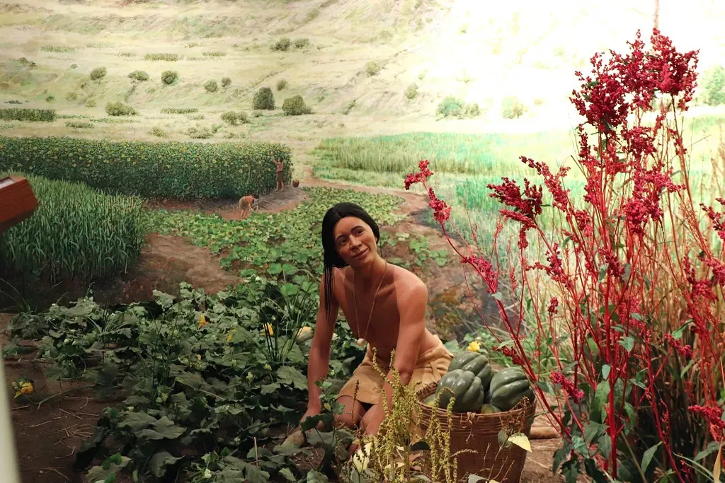 Reviving Traditional Food Systems for Modern Health (Image Credits: Flickr)