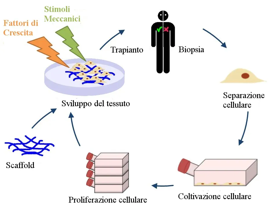 The Future Landscape: From Experimental Therapies to Global Impact (Image Credits: Wikimedia)