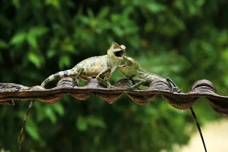 10. Their Social Lives Are More Dramatic Than You’d Expect (Image Credits: Pexels)