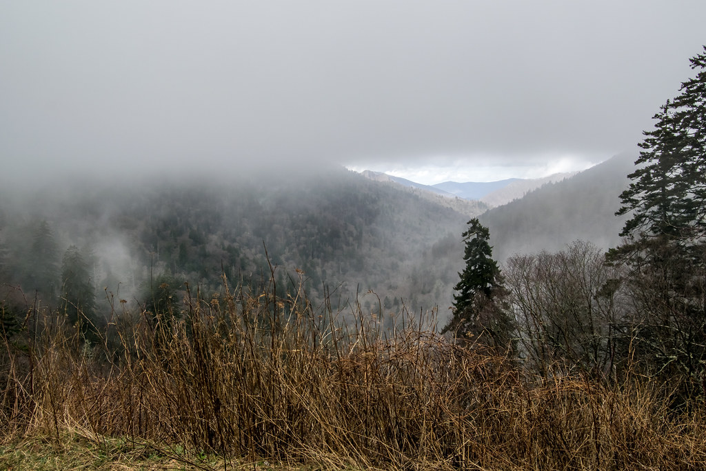 Great Smoky Mountains National Park - Tennessee and North Carolina (Image Credits: Flickr)