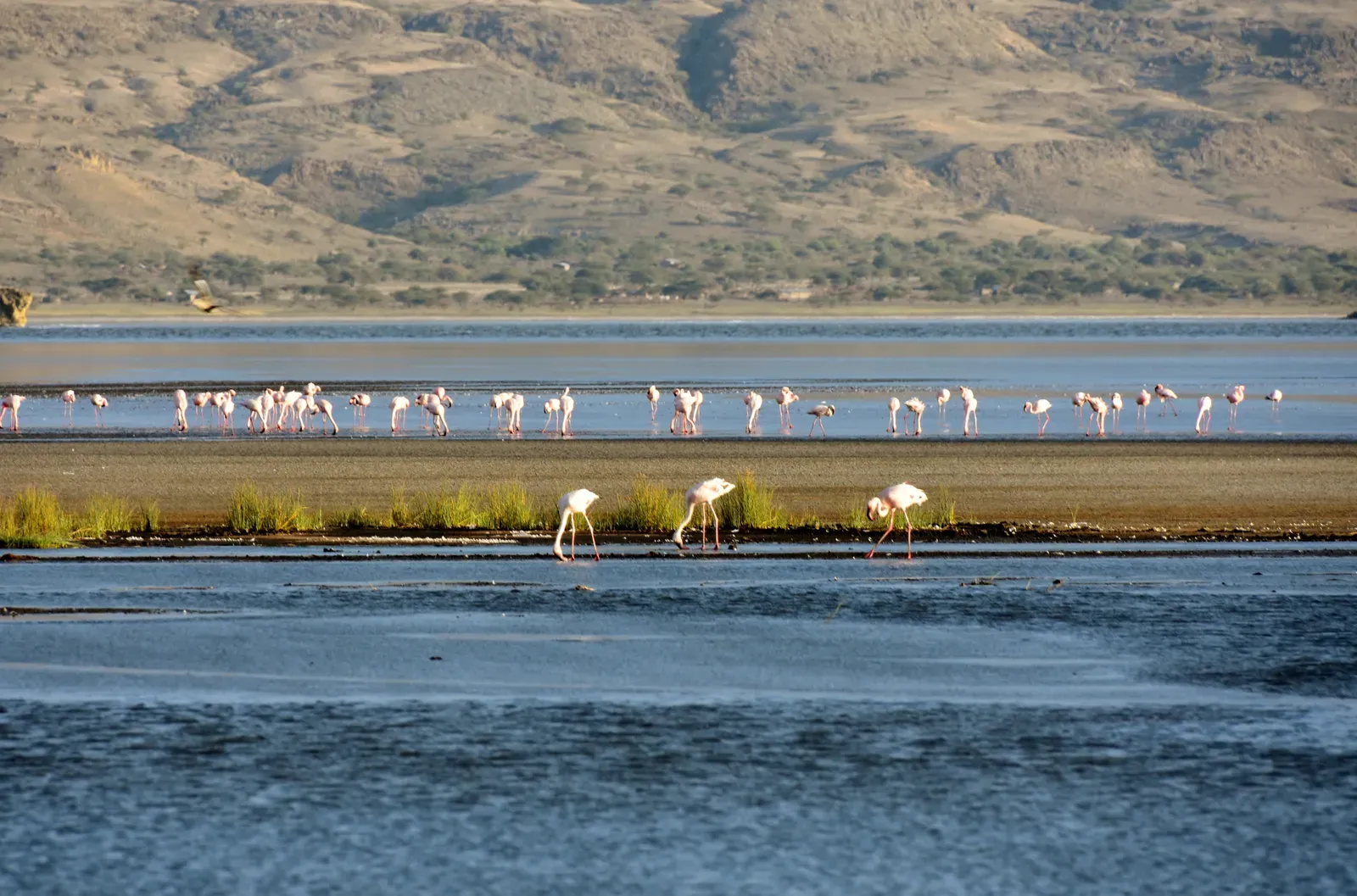 8. Lake Natron, Tanzania – The Mirror That Turns Red (Flamingos at Lake Natron (8), CC BY 2.0)