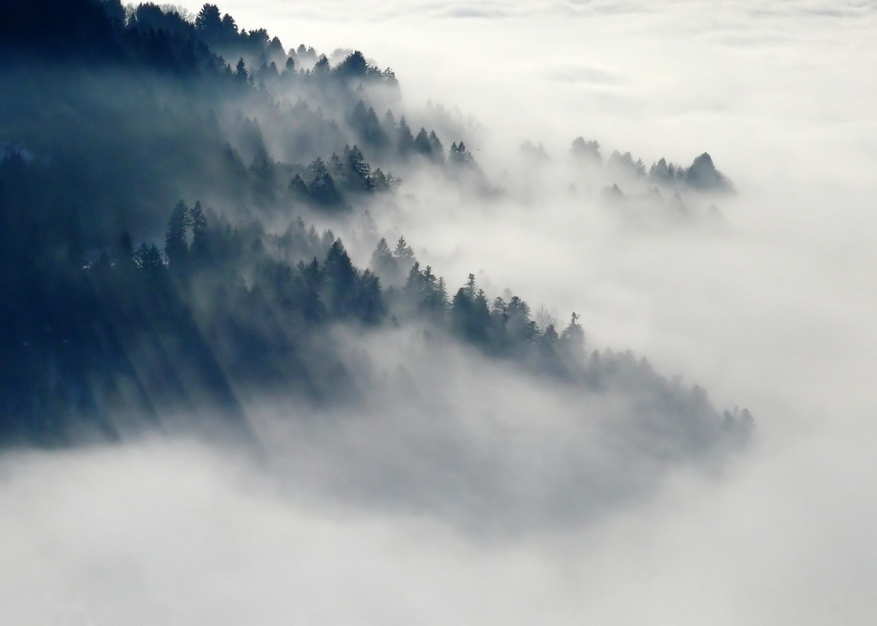 Appalachian Cloud Forests - West Virginia and Virginia (Image Credits: Pixabay)