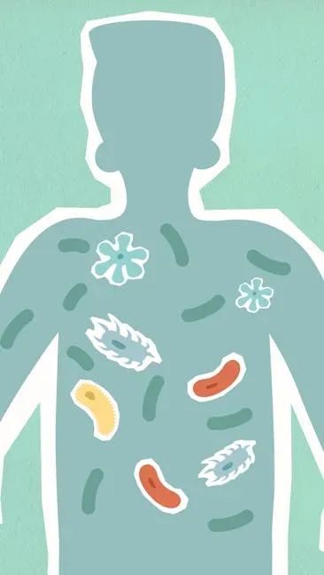 10. Your Immune System Trains and Repairs (Image Credits: Pexels)