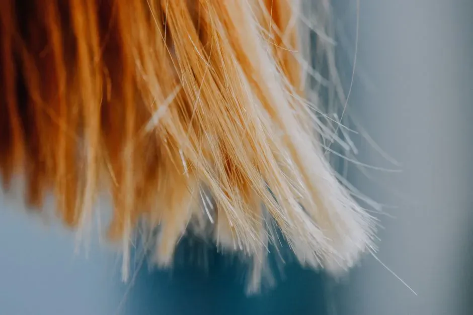 #7 - Frizzy Hair Really Is A Humidity Gauge (Image Credits: Pexels)