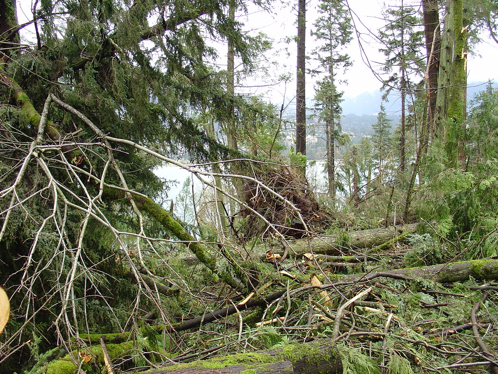 When Nature's Theater Becomes Dangerous (Image Credits: Flickr)