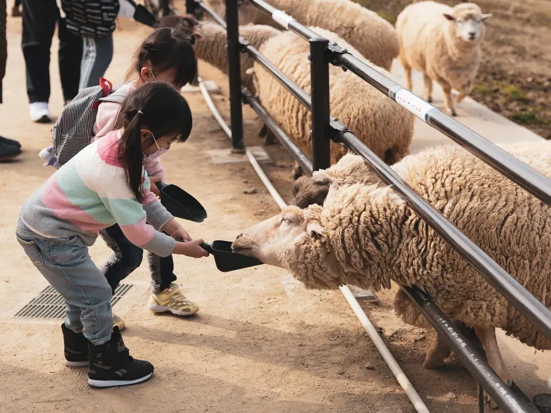 From Barnyards to Backyards: A Cross-Cultural Constant (Image Credits: Unsplash)