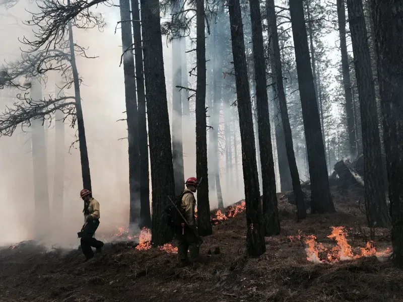 Why It Matters: Lessons for Food, Climate, and Human Survival (Image Credits: Wikimedia)