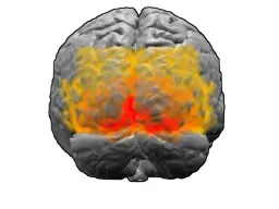 From Cave Fires to Brain Scanners: How We Learned to Study Sight (Image Credits: Wikimedia)