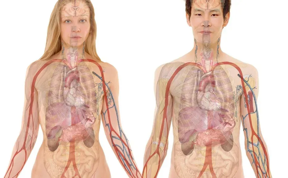 A Master of Adaptation From Birth to Old Age (Image Credits: Pixabay)