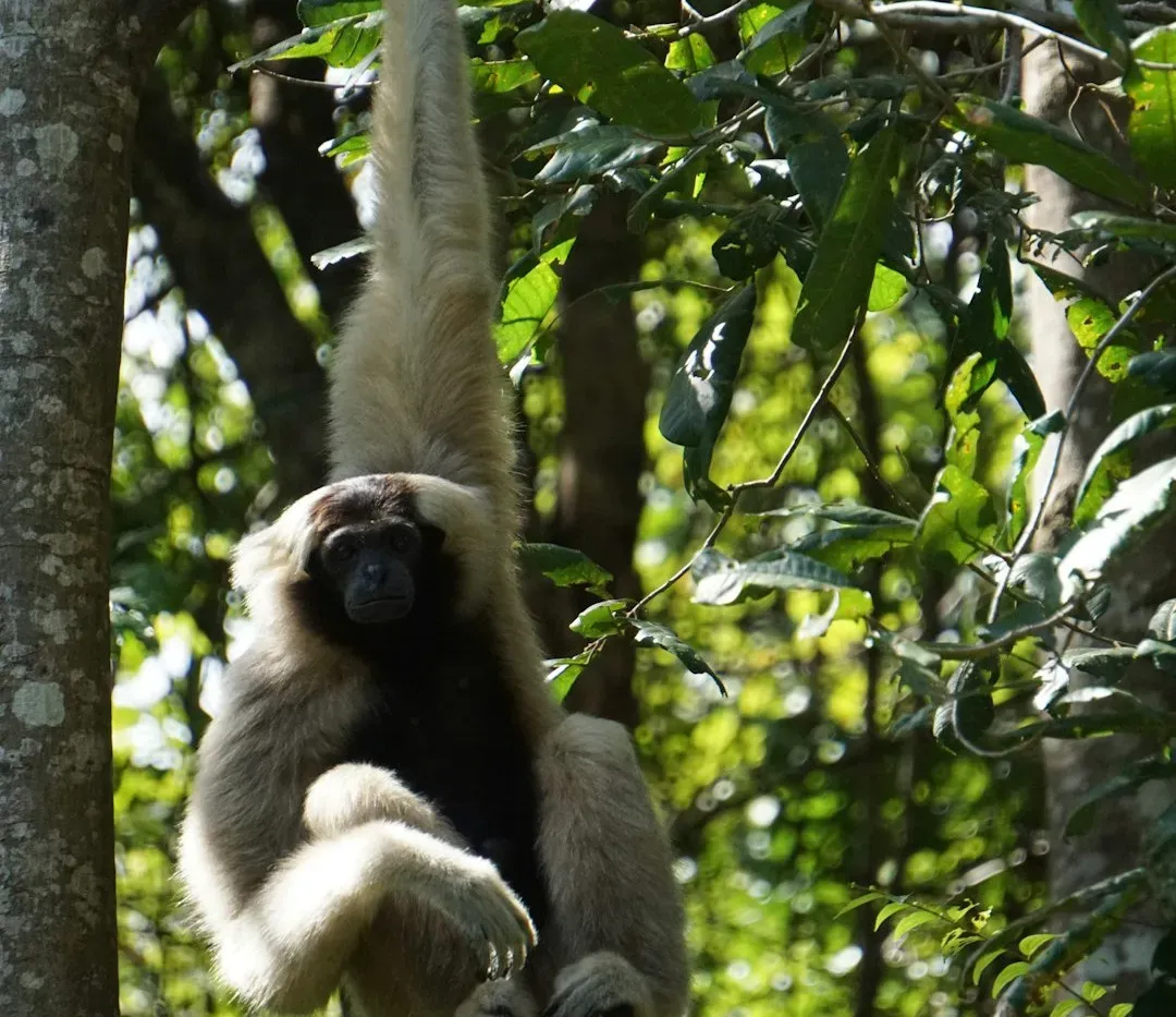 What “Success” Would Actually Look Like in the Real World (Image Credits: Unsplash)