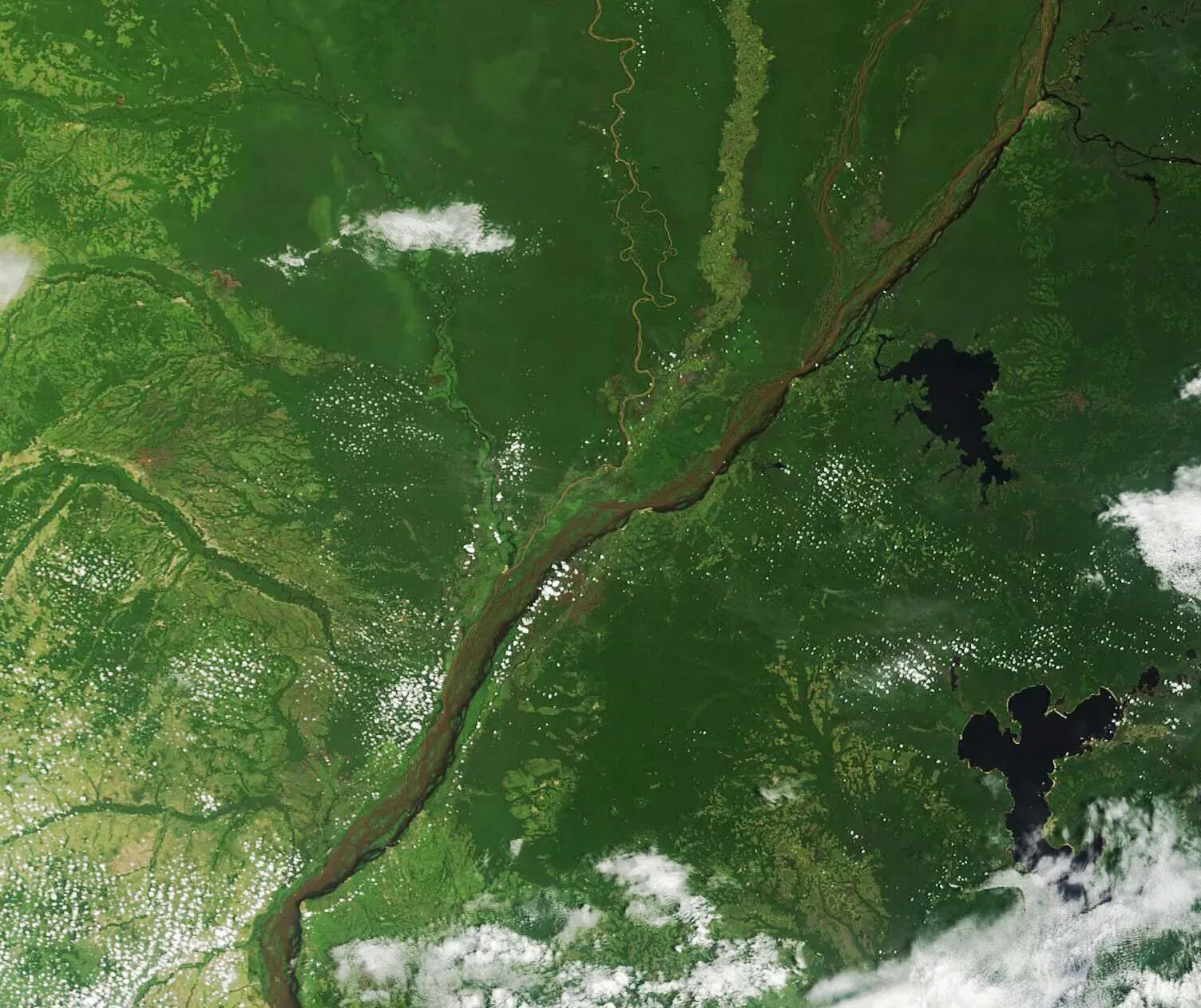 The Congo Basin’s Swamps and Peatlands (This image or video was catalogued by Goddard Space Flight Center of the United States National Aeronautics and Space Administration (NASA) under Photo ID: 2024-10-13., Public domain)