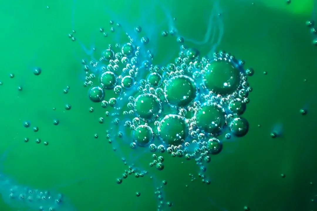 The Microbial Loops in Lakes, Rivers, and Wetlands (Image Credits: Unsplash)