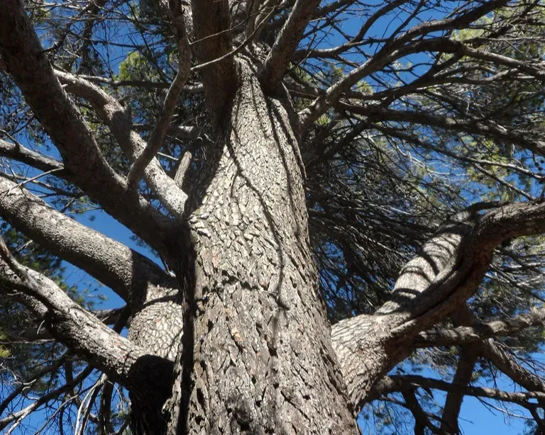 Time Capsules for Biodiversity and Lost Ecosystems (Image Credits: Flickr)