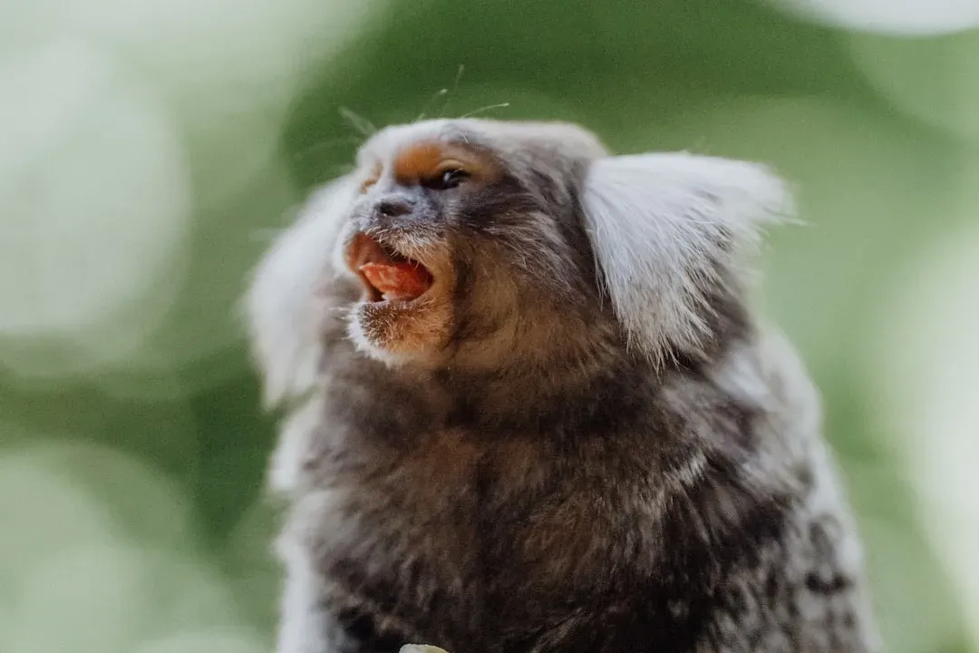 How This Research Changes How You See Animals (and Yourself) (Image Credits: Unsplash)