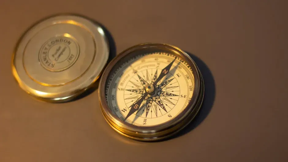 Magnetic Mayhem: Compasses, Navigation, And The Illusion Of Vanishing Time (Image Credits: Pexels)